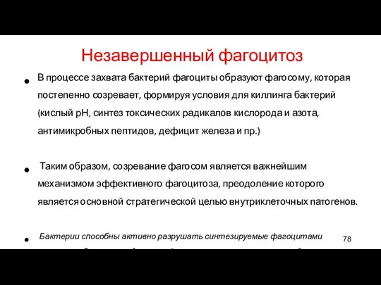 Незавершенный фагоцитоз В процессе захвата бактерий фагоциты образуют фагосому, которая постепенно