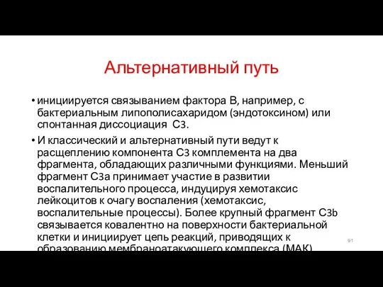 Альтернативный путь инициируется связыванием фактора В, например, с бактериальным липополисахаридом (эндотоксином)