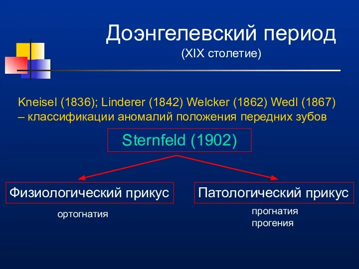 Доэнгелевский период (XIX столетие) Kneisel (1836); Linderer (1842) Welcker (1862) Wedl