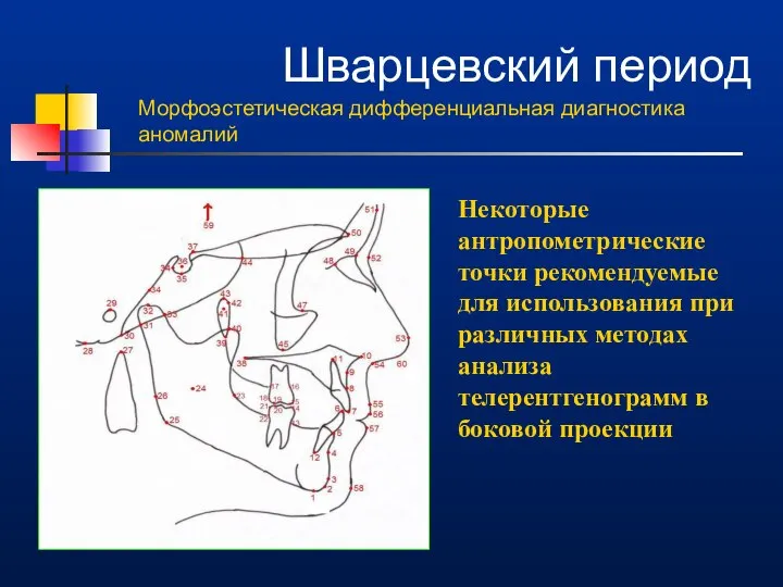 Шварцевский период Морфоэстетическая дифференциальная диагностика аномалий Некоторые антропометрические точки рекомендуемые для