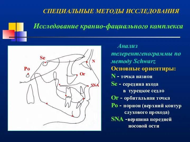 Исследование кранио-фациального комплекса . . N . . Or . SNA