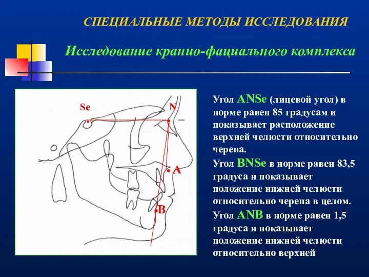 Исследование кранио-фациального комплекса . . . . А В N Se