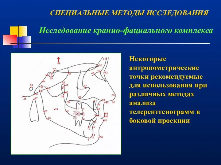 Некоторые антропометрические точки рекомендуемые для использования при различных методах анализа телерентгенограмм