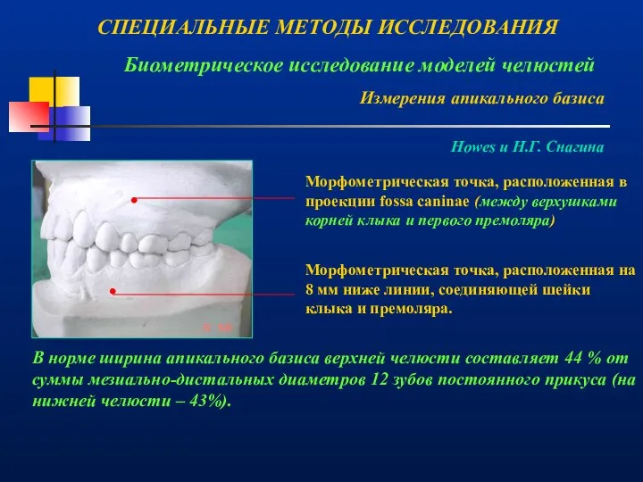 СПЕЦИАЛЬНЫЕ МЕТОДЫ ИССЛЕДОВАНИЯ Биометрическое исследование моделей челюстей Измерения апикального базиса .