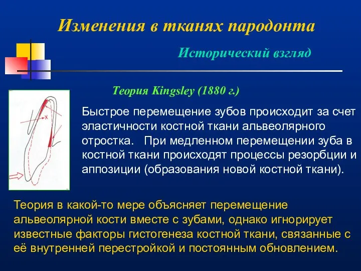 Изменения в тканях пародонта Исторический взгляд Теория Kingsley (1880 г.) Быстрое