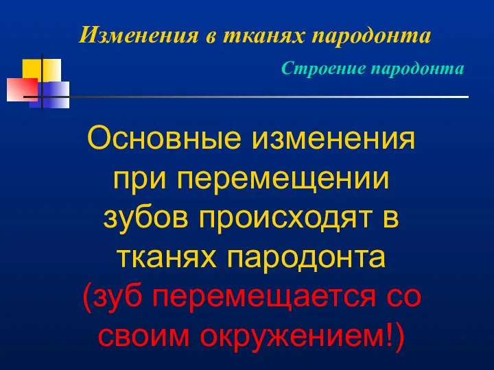 Изменения в тканях пародонта Строение пародонта Основные изменения при перемещении зубов