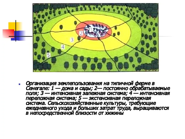 Организация землепользования на типичной ферме в Сенегале: 1 — дома и