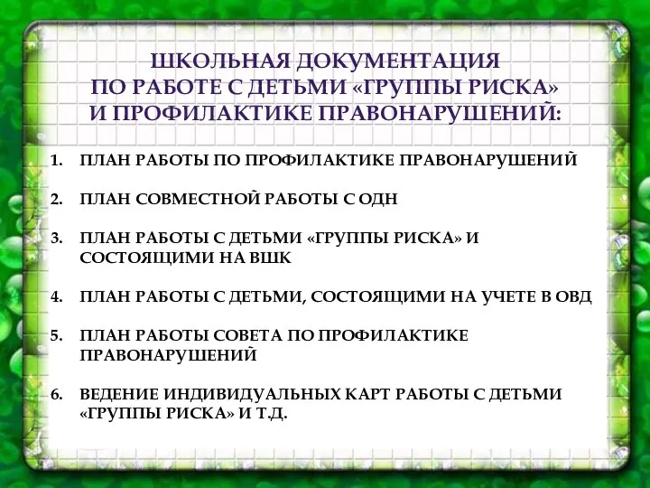 ШКОЛЬНАЯ ДОКУМЕНТАЦИЯ ПО РАБОТЕ С ДЕТЬМИ «ГРУППЫ РИСКА» И ПРОФИЛАКТИКЕ ПРАВОНАРУШЕНИЙ: