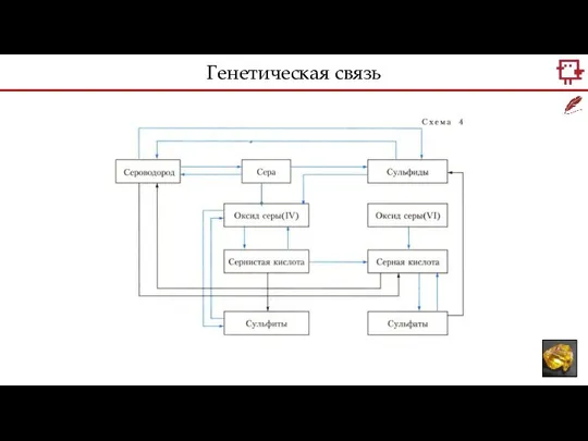 Генетическая связь