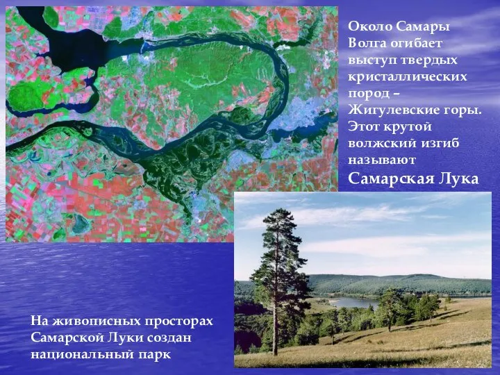 Около Самары Волга огибает выступ твердых кристаллических пород – Жигулевские горы.