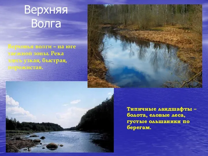 Верхняя Волга Верховья волги – на юге таежной зоны. Река здесь