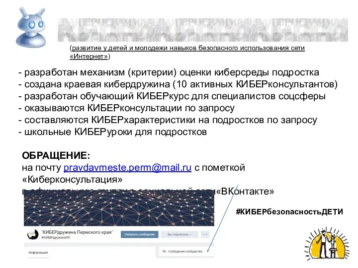 разработан механизм (критерии) оценки киберсреды подростка создана краевая кибердружина (10 активных