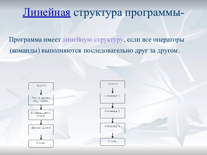 Линейная структура программы- Программа имеет линейную структуру, если все операторы (команды) выполняются последовательно друг за другом.