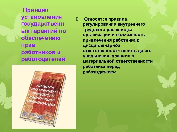 Принцип установления государственных гарантий по обеспечению прав работников и работодателей Относятся