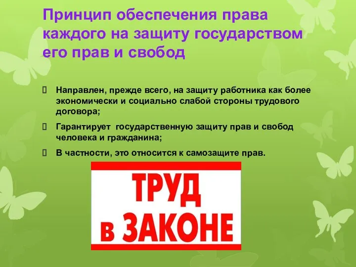 Принцип обеспечения права каждого на защиту государством его прав и свобод