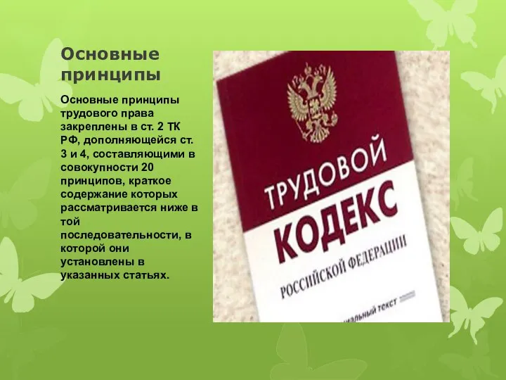 Основные принципы Основные принципы трудового права закреплены в ст. 2 ТК