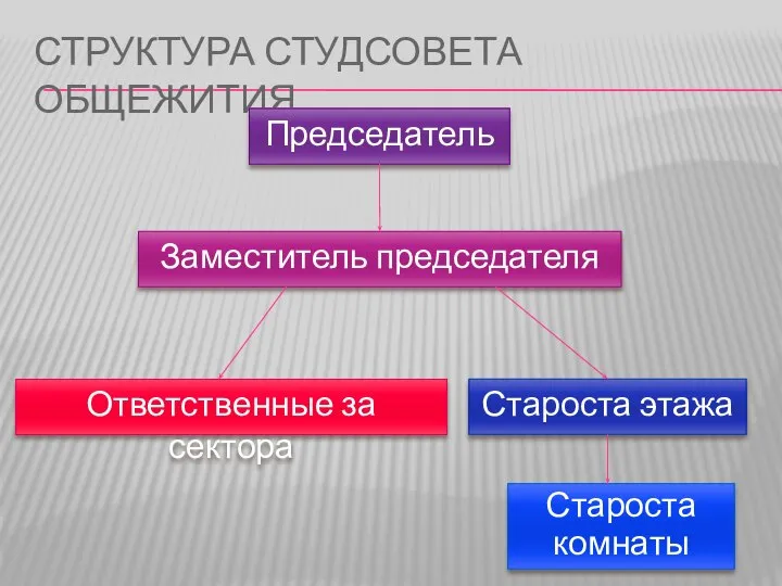 СТРУКТУРА СТУДСОВЕТА ОБЩЕЖИТИЯ Председатель Заместитель председателя Ответственные за сектора Староста этажа Староста комнаты