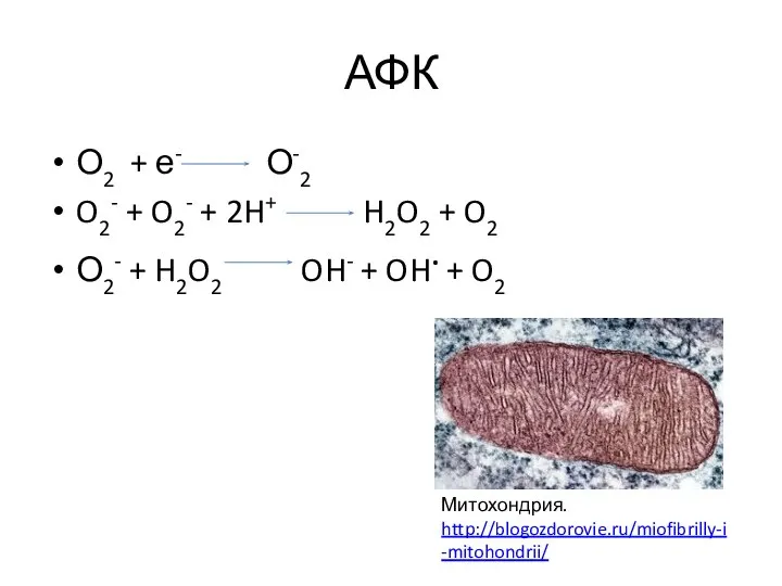 АФК О2 + е- О-2 O2- + O2- + 2H+ H2O2