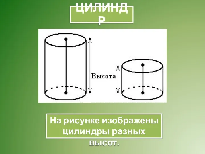 На рисунке изображены цилиндры разных высот. ЦИЛИНДР