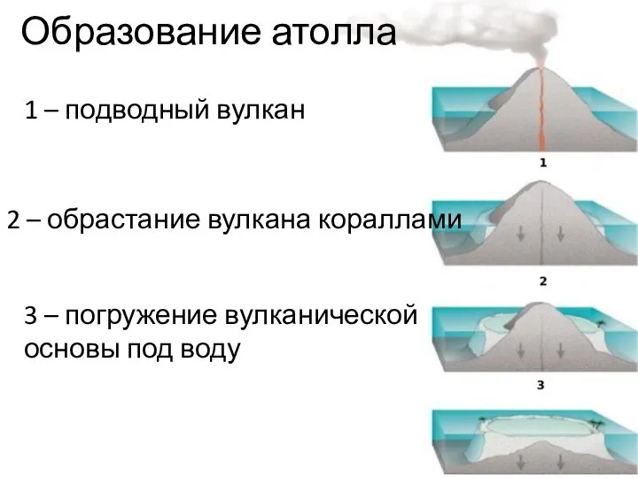 1 – подводный вулкан 2 – обрастание вулкана кораллами 3 –