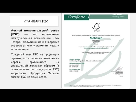 СТАНДАРТ FSC Лесной попечительский совет (FSC) — это независимая международная организация,