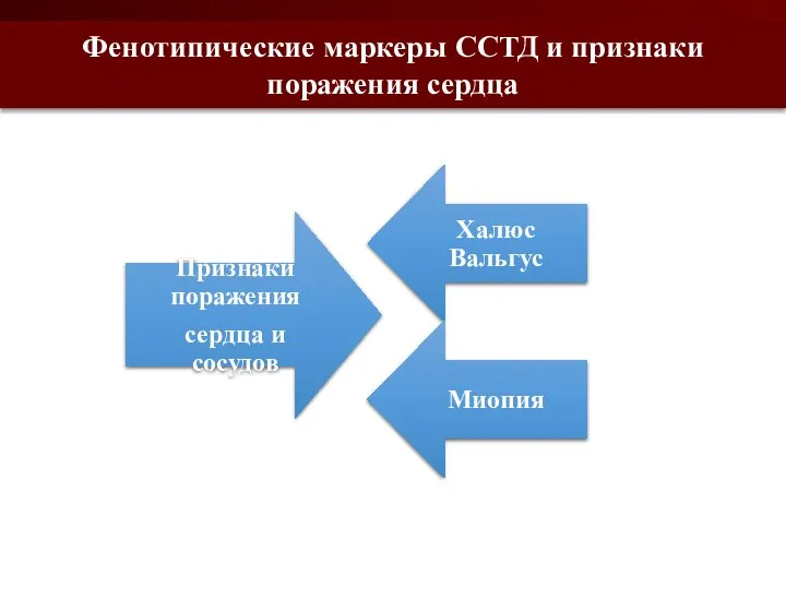 Фенотипические маркеры ССТД и признаки поражения сердца Миопия