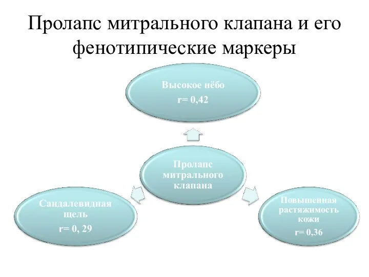 Пролапс митрального клапана и его фенотипические маркеры