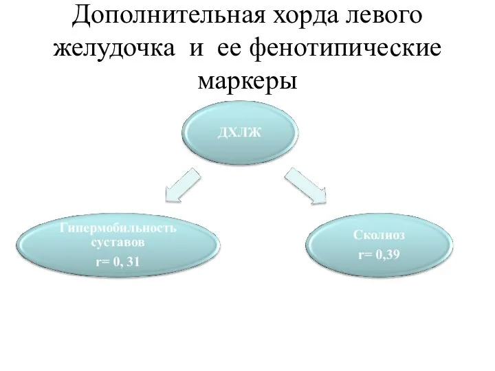 Дополнительная хорда левого желудочка и ее фенотипические маркеры