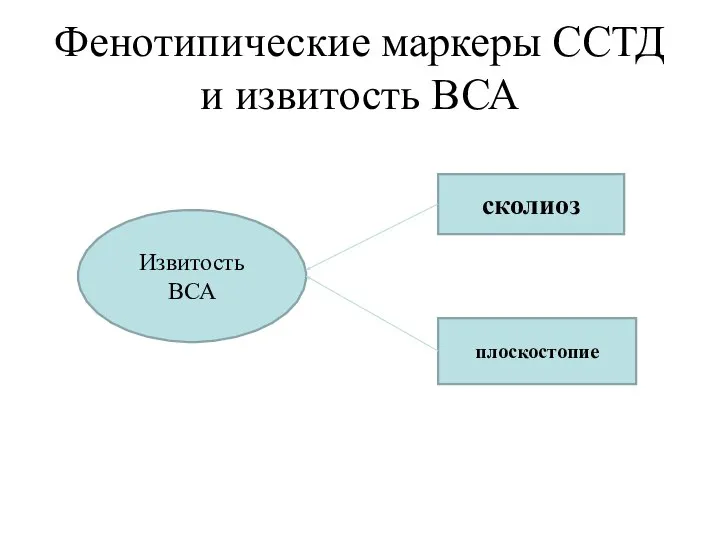 Фенотипические маркеры ССТД и извитость ВСА Извитость ВСА сколиоз плоскостопие