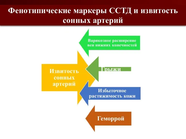 Фенотипические маркеры ССТД и извитость сонных артерий