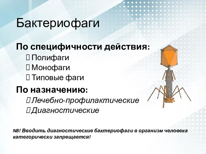 Бактериофаги По специфичности действия: Полифаги Монофаги Типовые фаги По назначению: Лечебно-профилактические