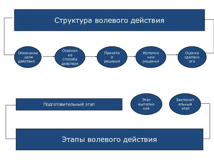 Структура волевого действия Осознание способа действия Принятие решения Исполнение решения Оценка