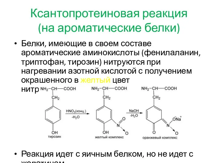 Ксантопротеиновая реакция (на ароматические белки) Белки, имеющие в своем составе ароматические