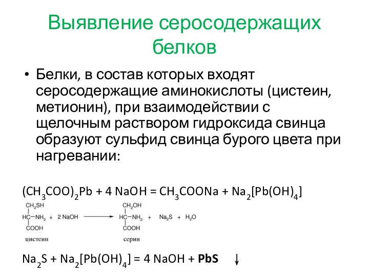 Выявление серосодержащих белков Белки, в состав которых входят серосодержащие аминокислоты (цистеин,