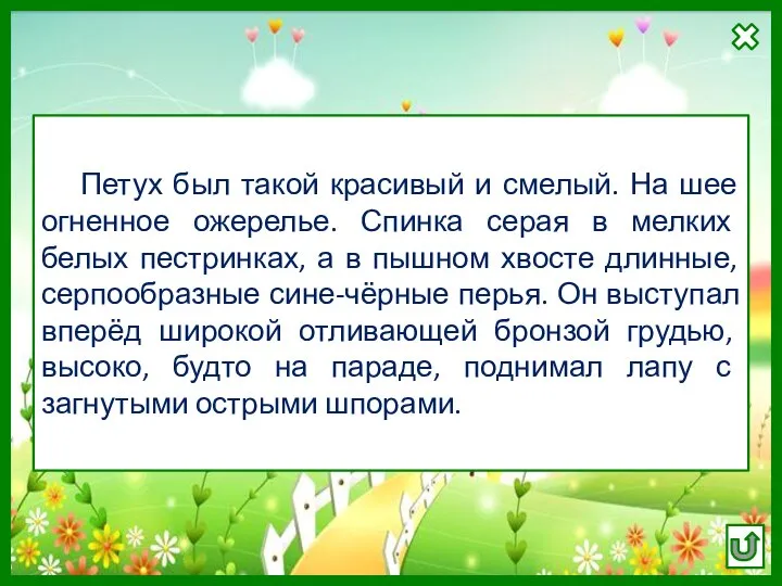 Петух был такой красивый и смелый. На шее огненное ожерелье. Спинка