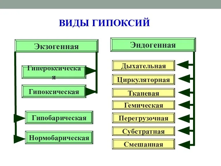 Экзогенная Смешанная Гемическая Тканевая Циркуляторная Дыхательная Эндогенная Гипоксическая Гипероксическая Нормобарическая Гипобарическая Субстратная Перегрузочная ВИДЫ ГИПОКСИЙ