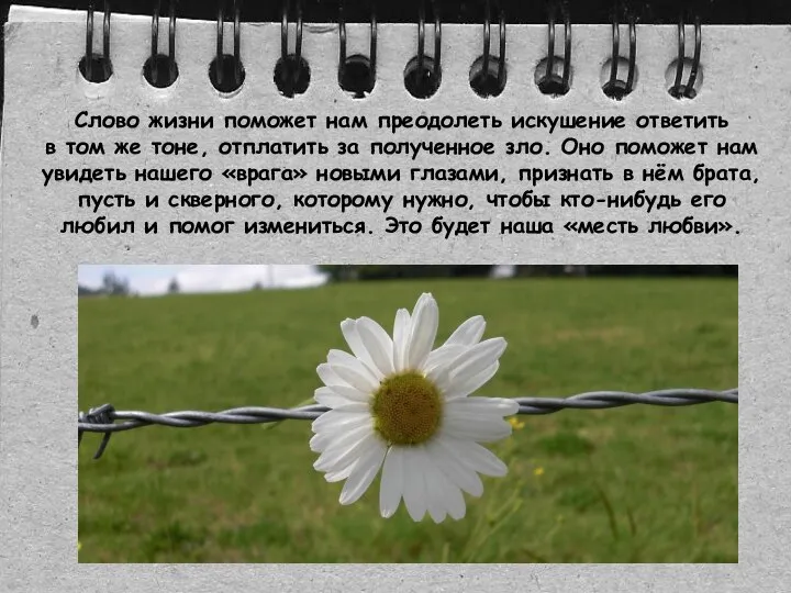 Слово жизни поможет нам преодолеть искушение ответить в том же тоне,