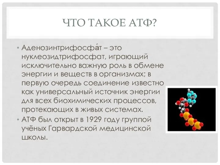 ЧТО ТАКОЕ АТФ? Аденозинтрифосфа́т – это нуклеозидтрифосфат, играющий исключительно важную роль