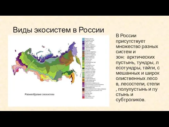 Виды экосистем в России В России присутствует множество разных систем и