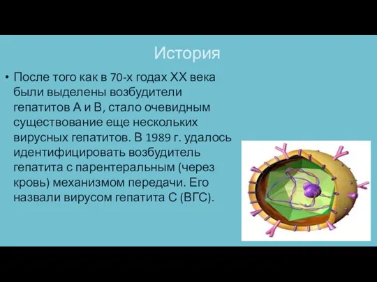 История После того как в 70-х годах ХХ века были выделены