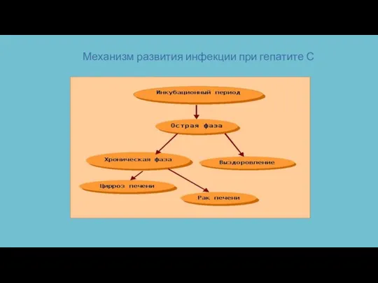 Механизм развития инфекции при гепатите С