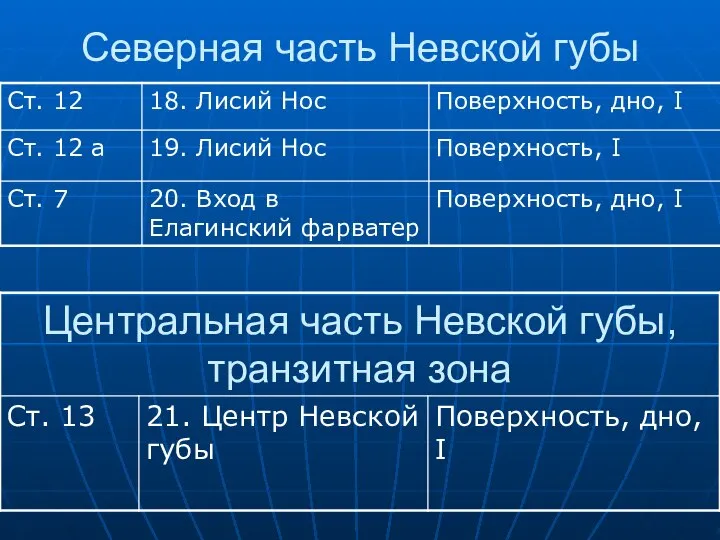 Северная часть Невской губы