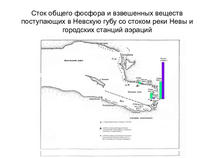 Сток общего фосфора и взвешенных веществ поступающих в Невскую губу со