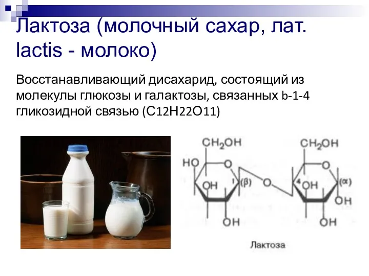 Лактоза (молочный сахар, лат. lactis - молоко) Восстанавливающий дисахарид, состоящий из