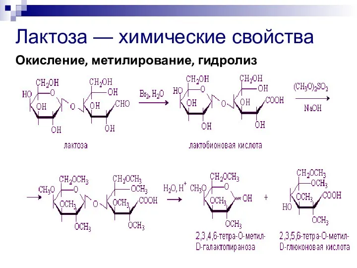 Лактоза — химические свойства Окисление, метилирование, гидролиз