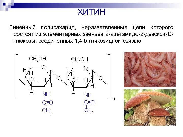 ХИТИН Линейный полисахарид, неразветвленные цепи которого состоят из элементарных звеньев 2-ацетамидо-2-дезокси-D-глюкозы, соединенных 1,4-b-гликозидной связью