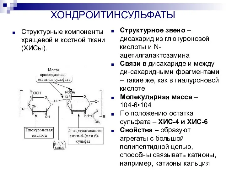 ХОНДРОИТИНСУЛЬФАТЫ Структурное звено – дисахарид из глюкуроновой кислоты и N-ацетилгалактозамина Связи