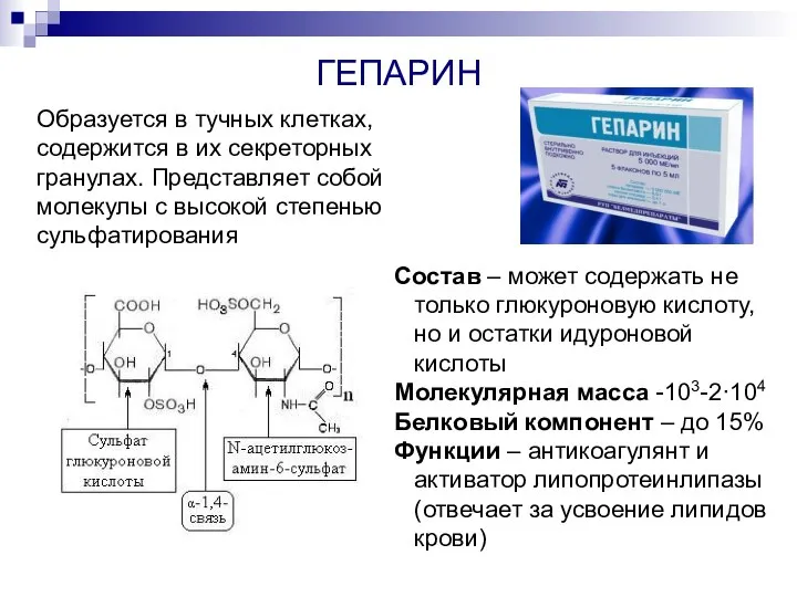 ГЕПАРИН Образуется в тучных клетках, содержится в их секреторных гранулах. Представляет