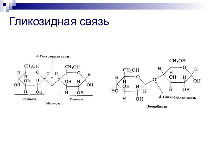 Гликозидная связь