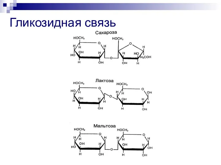 Гликозидная связь